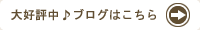 ��D�]�̃u���O�T�C�g�͂�����